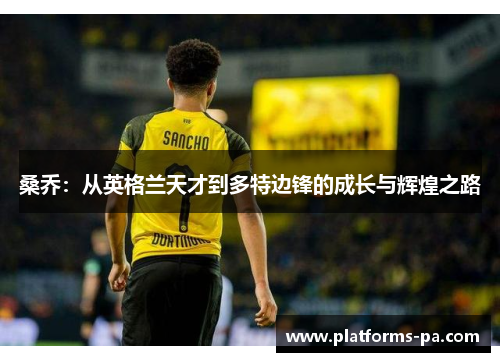 桑乔:从英格兰天才到多特边锋的成长与辉煌之路 桑乔:从英格兰天才到多特边锋的成长与辉煌之路