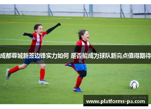 成都蓉城新签边锋实力如何 是否能成为球队新亮点值得期待 成都蓉城新签边锋实力如何 是否能成为球队新亮点值得期待