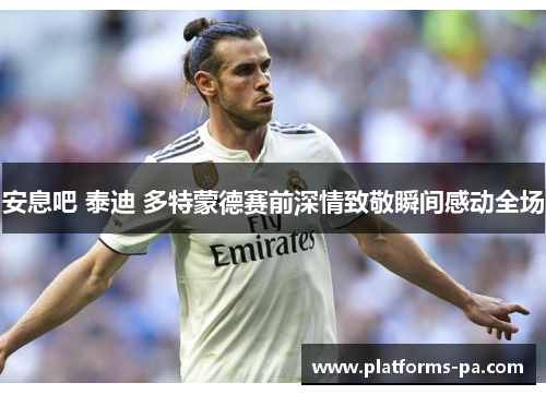 安息吧 泰迪 多特蒙德赛前深情致敬瞬间感动全场