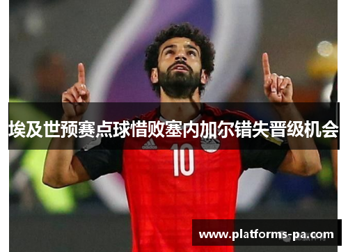 埃及世预赛点球惜败塞内加尔错失晋级机会